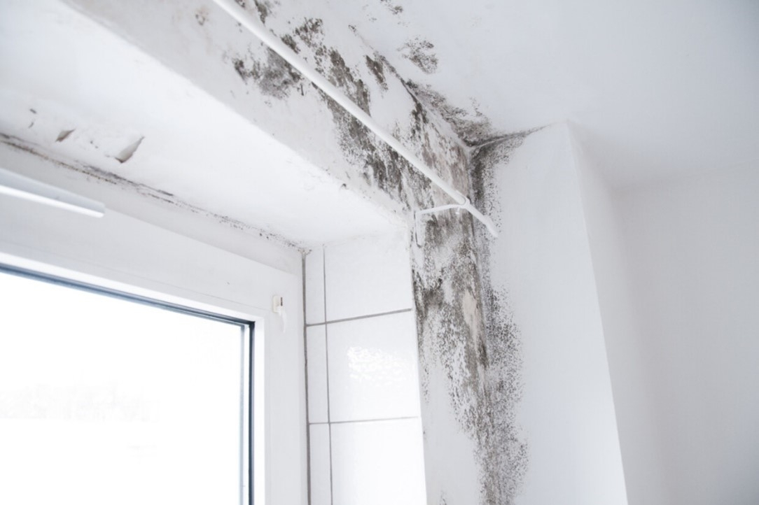 Woonkamer renoveren: zo pak je vochtproblemen aan